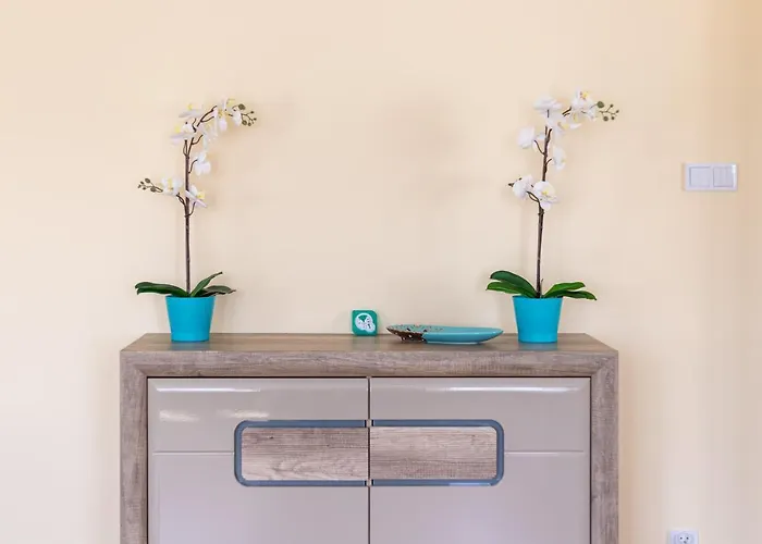 Victus Apartamenty, Valentine