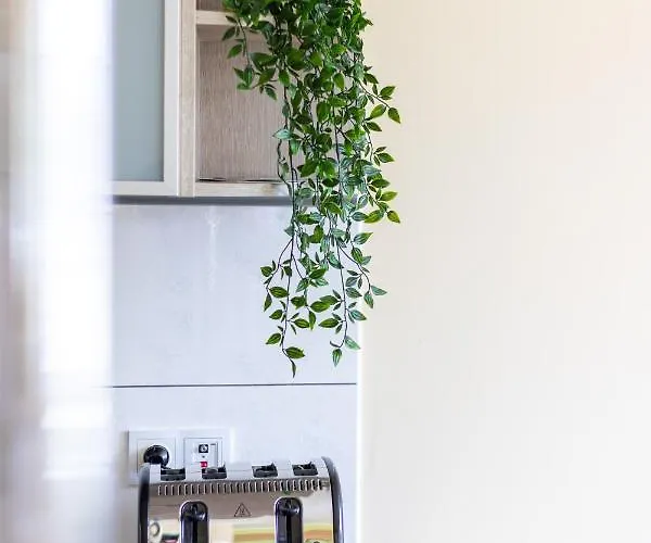 Victus Apartamenty, Valentine